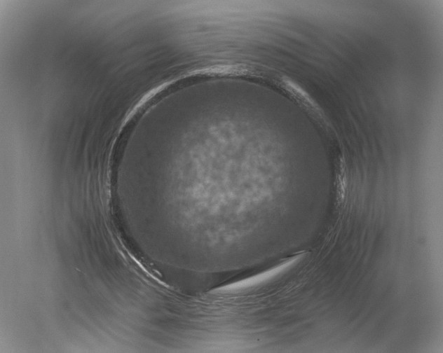 X0000079280484200612011702