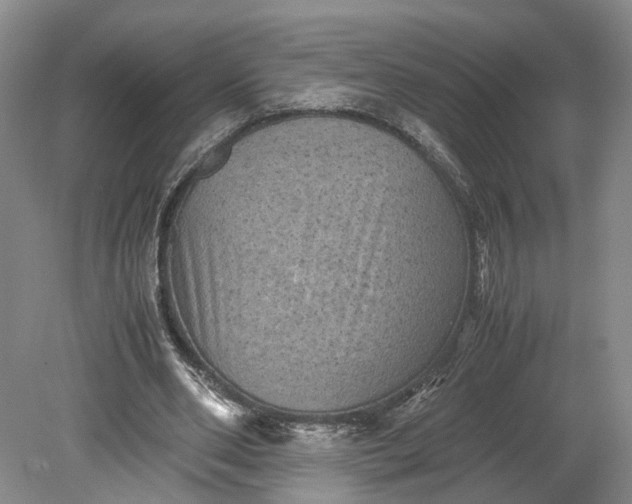 X0000079280486200612011702