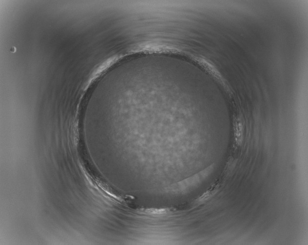 X0000079280488200612011702