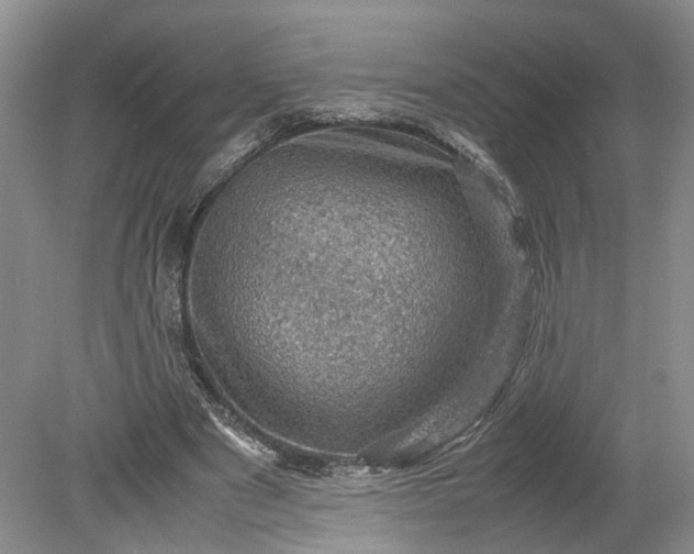 X0000079280489200612011702