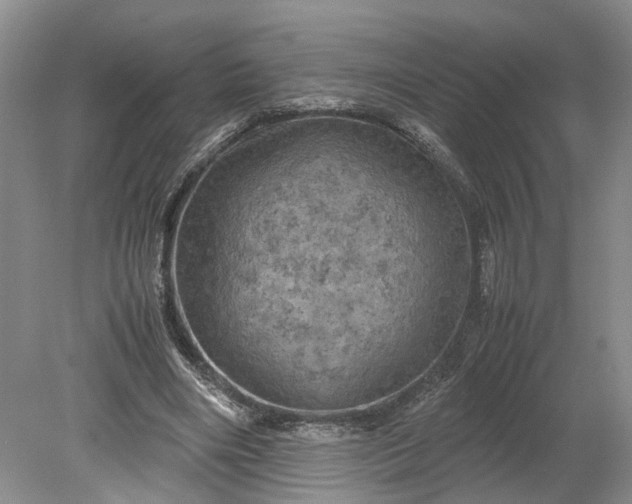 X0000079280490200612011702