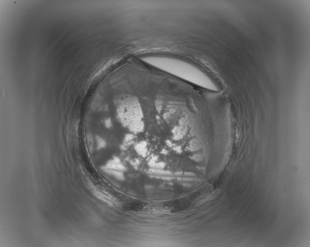 X0000079280491200612011702