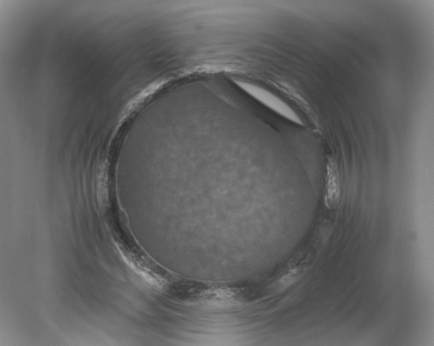 X0000079280492200612011702