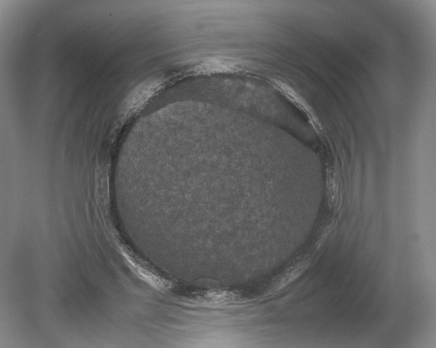 X0000079280493200612011702