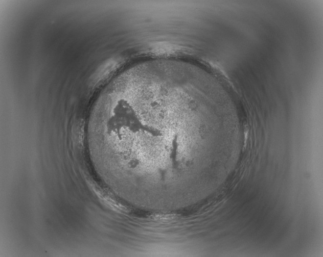 X0000079280495200612011702