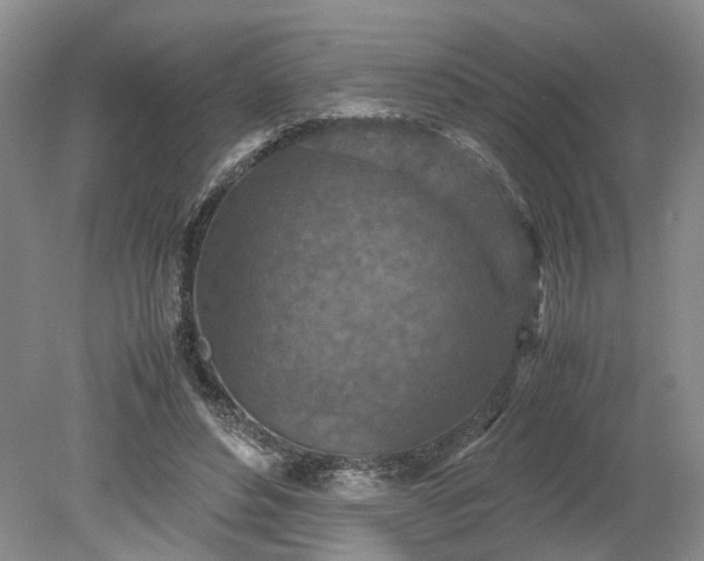 X0000079280496200612011702