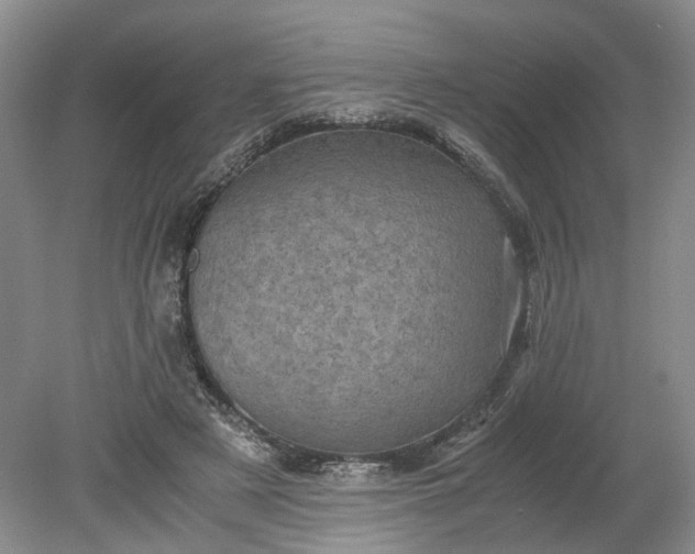 X0000079280497200612011702