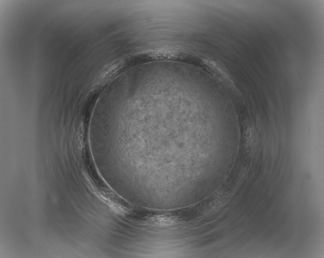 X0000079280498200612011702