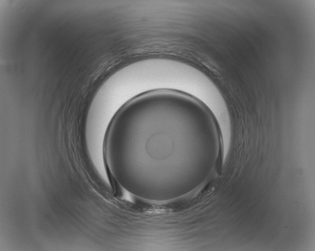 X0000079280499200612011702