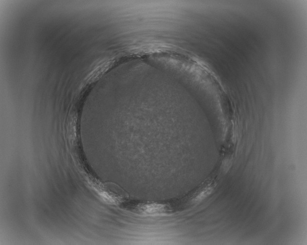 X0000079280501200612011702