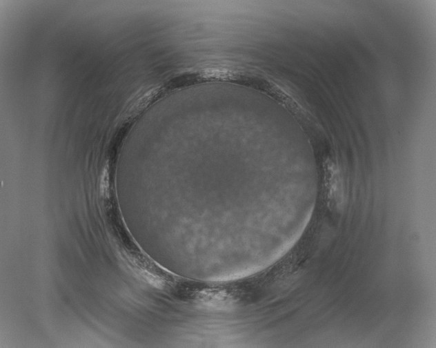 X0000079280502200612011702