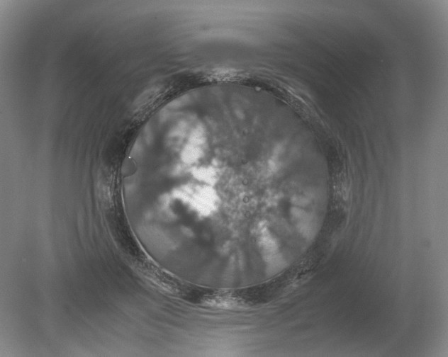 X0000079280503200612011702