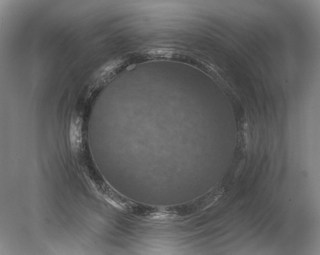 X0000079280504200612011702