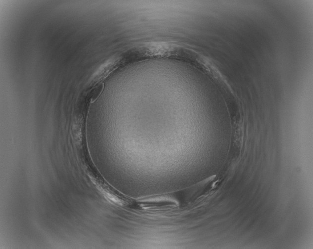 X0000079280505200612011701