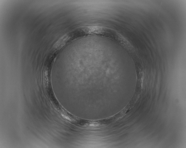 X0000079280506200612011701