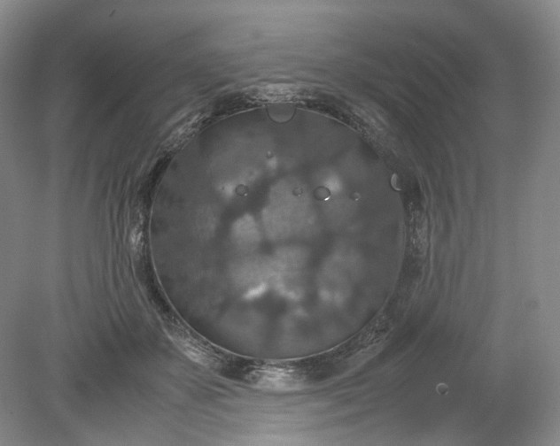 X0000079280507200612011701