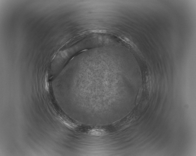 X0000079280508200612011701