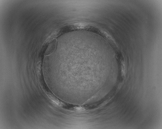 X0000079280509200612011701