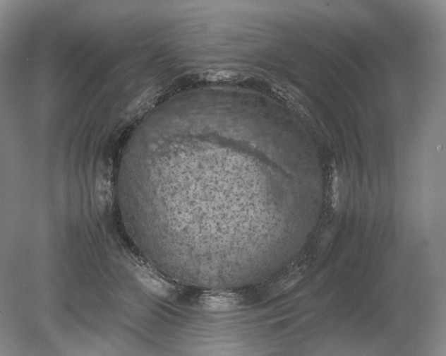 X0000079280510200612011701