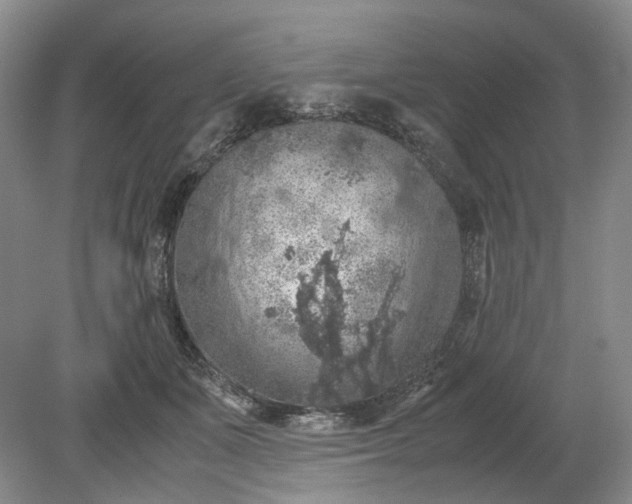 X0000079280511200612011701