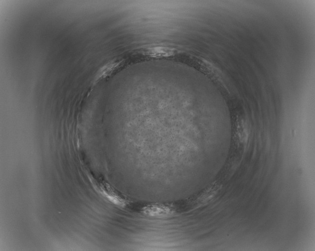 X0000079280512200612011701