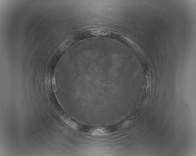 X0000079280513200612011701