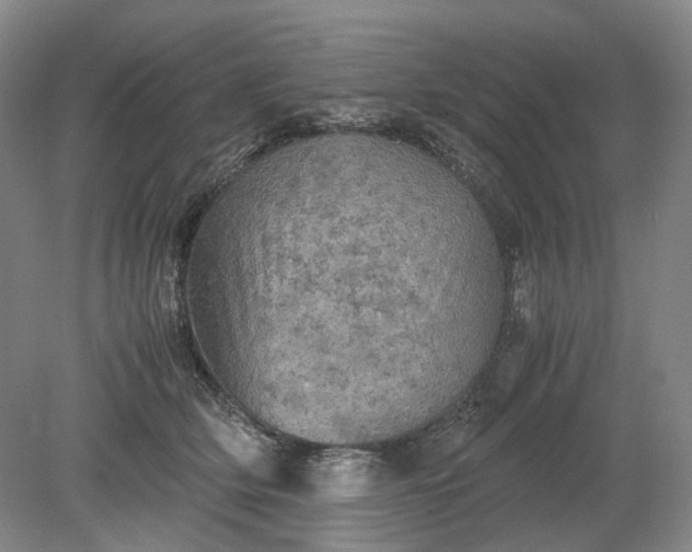 X0000079280514200612011701