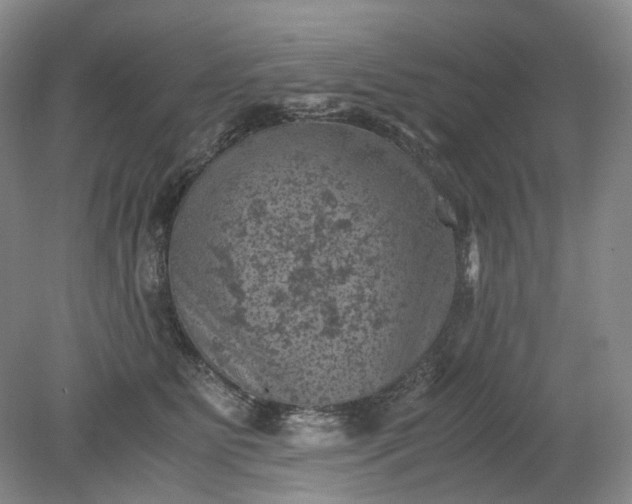 X0000079280515200612011701