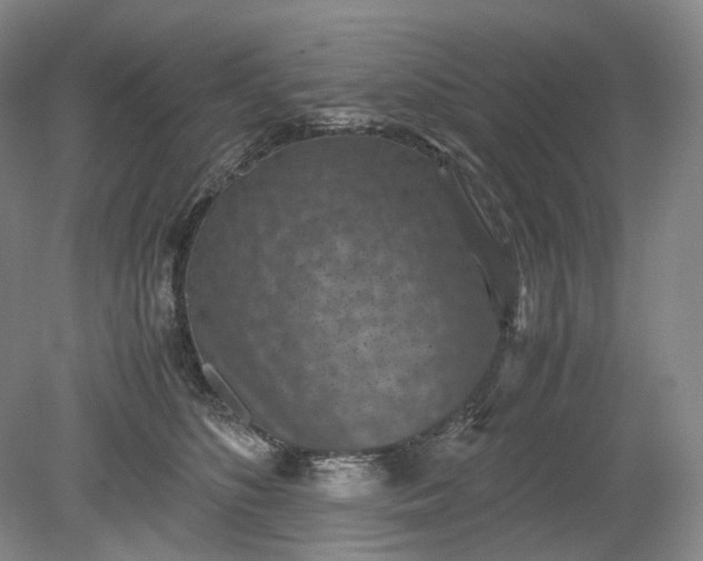 X0000079280516200612011701