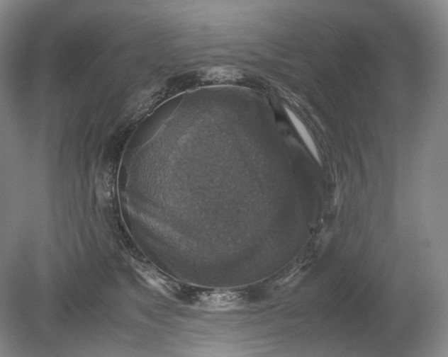 X0000079280517200612011701