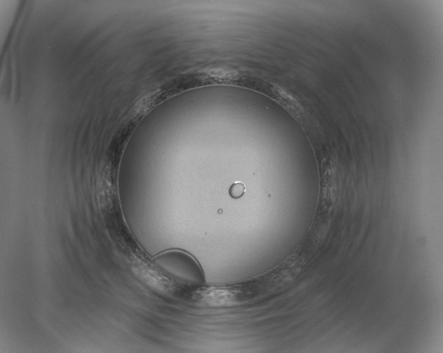 X0000079280518200612011701