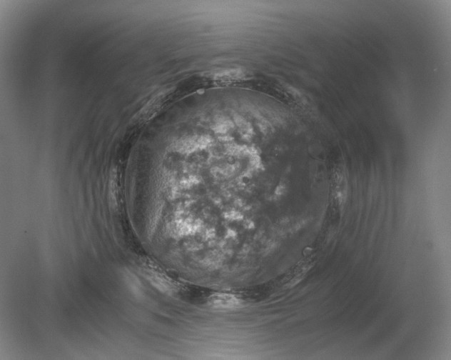 X0000079280519200612011701