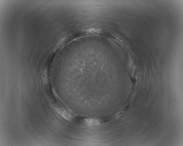 X0000079280520200612011701