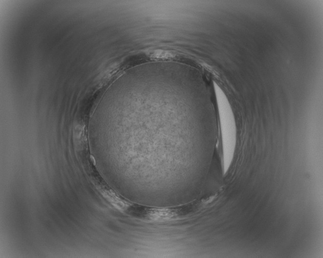 X0000079280521200612011701