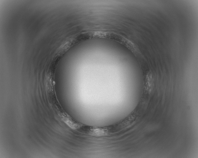 X0000079280522200612011701