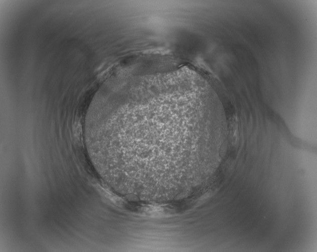 X0000079280523200612011701