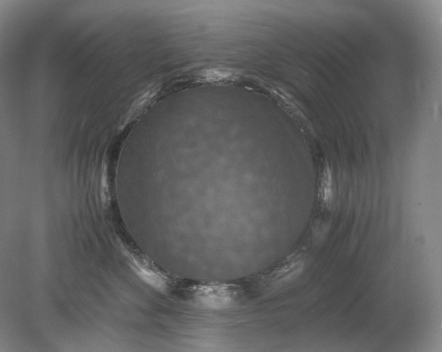 X0000079280524200612011701