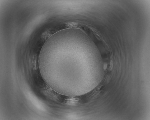 X0000079280525200612011701