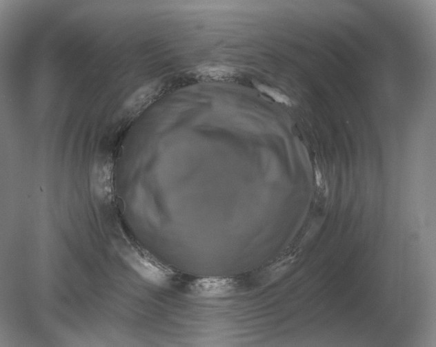 X0000079280526200612011701