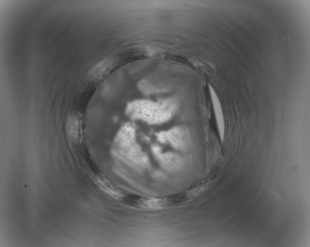 X0000079280527200612011701