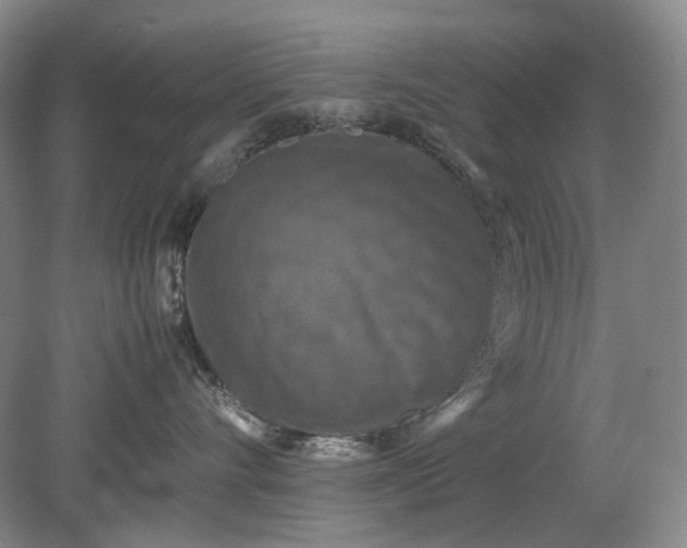 X0000079280528200612011701