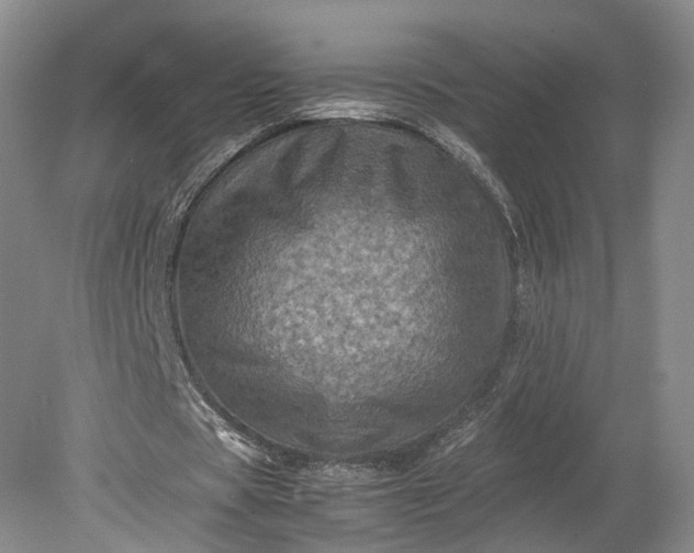 X0000079280529200612011700