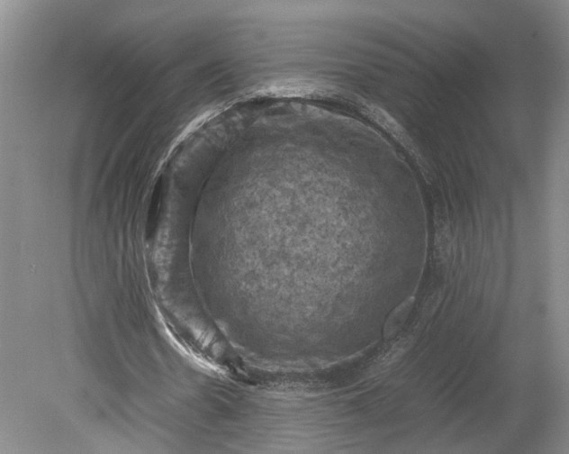 X0000079280530200612011700