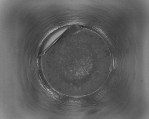 X0000079280531200612011700