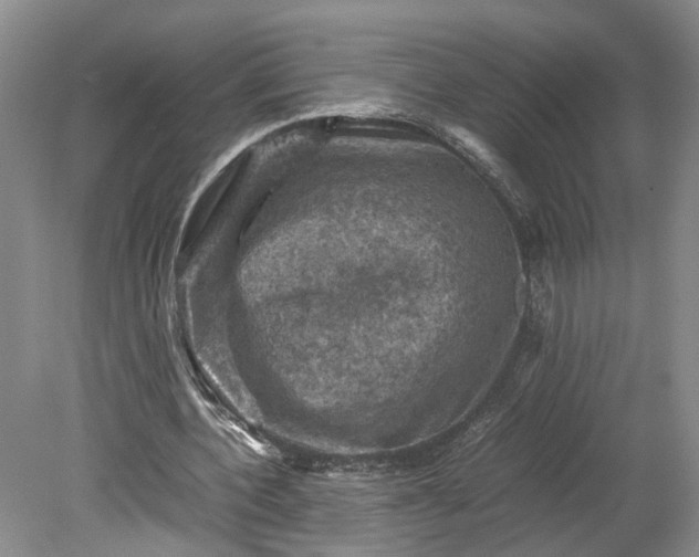 X0000079280532200612011700