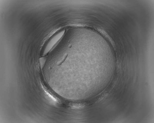 X0000079280533200612011700