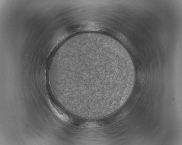 X0000079280534200612011700