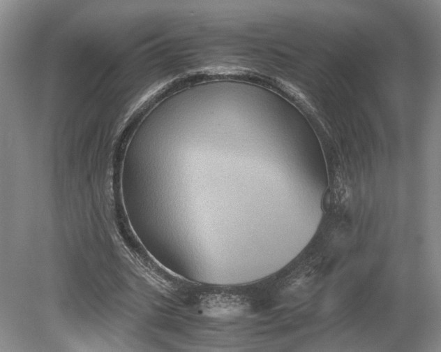 X0000079280535200612011700