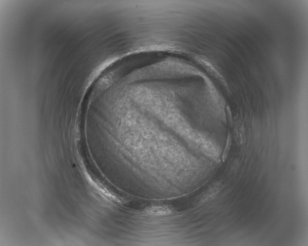 X0000079280536200612011700