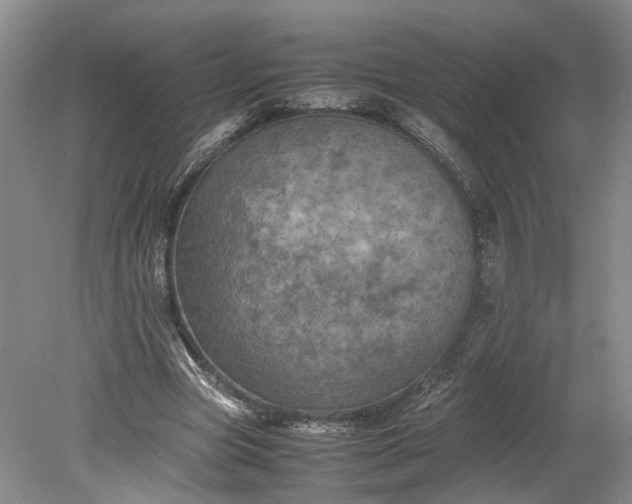 X0000079280537200612011700